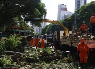 Dois dias após ciclone, SP ainda tem 800 mil moradores sem energia