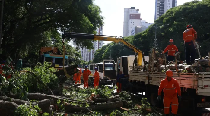Dois dias após ciclone, SP ainda tem 800 mil moradores sem energia
