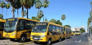 Nova legislação garante repasses para alimentação e transporte escolar