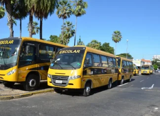Nova legislação garante repasses para alimentação e transporte escolar