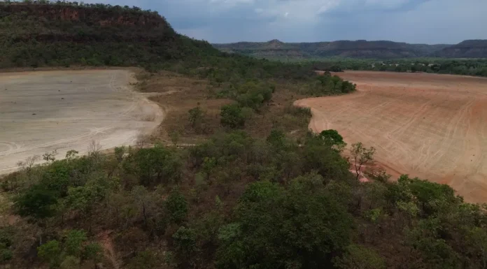 Fronteira Cerrado: expansão do agro no coração hídrico do Brasil