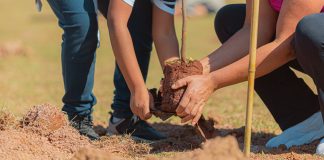 Itapevi celebra aniversário com 1ª Feira Socioambiental e 6ª Cãominhada