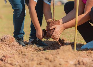 Itapevi celebra aniversário com 1ª Feira Socioambiental e 6ª Cãominhada