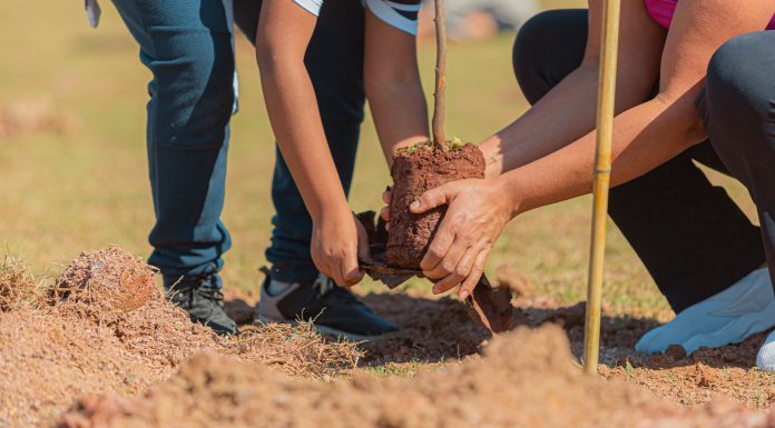Itapevi celebra aniversário com 1ª Feira Socioambiental e 6ª Cãominhada