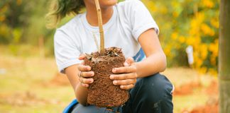 Itapevi promove 1ª Conferência Municipal do Meio Ambiente para debater as mudanças climáticas