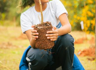 Itapevi promove 1ª Conferência Municipal do Meio Ambiente para debater as mudanças climáticas