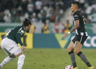 Palmeiras recebe Botafogo no grande jogo da 12ª rodada do Brasileiro
