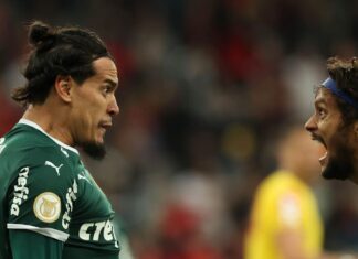 Palmeiras é campeão da Série A do Brasileirão