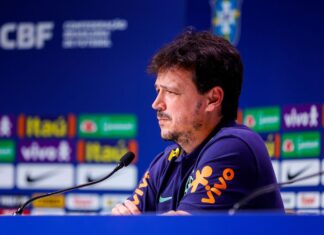 Fernando Diniz afirma que realiza um sonho na seleção brasileira