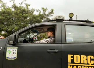 Força Nacional continuará apoiando Ibama na Amazônia Legal