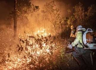 Manejo com fogo, contrafogo e queimada – entenda a diferença