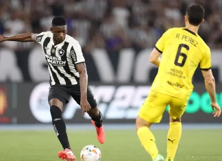Botafogo busca classificação inédita para final da Libertadores