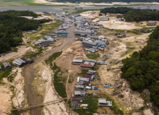 Crise climática: adolescentes levam ao papa demandas da juventude