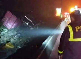 Acidente com van deixa ao menos nove mortos no Paraná