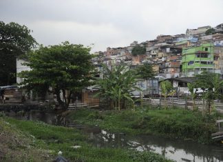 Estudo genético na Maré mostra evolução da covid-19 com impacto global