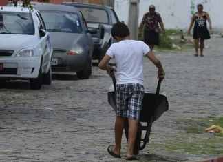 Auditores identificam 301 menores realizando trabalho infantil ilegal