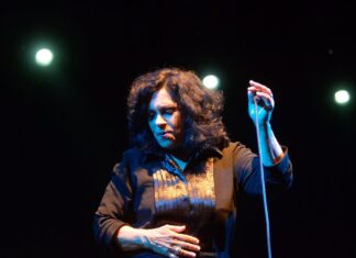 Morte de Gal Costa repercute entre artistas e políticos