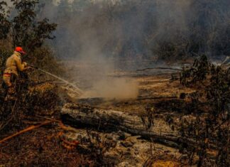 Mato Grosso do Sul: clima seco e quente dificulta combate a incêndios