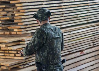 Apreensão de madeira ilegal pela PM Ambiental aumenta quase 300% no primeiro trimestre