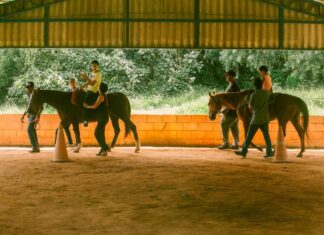 Terapia com animais ajuda na qualidade de vida de pessoas com deficiência