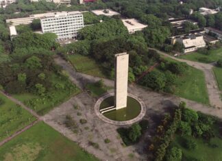 Alunos da USP oferecem consultoria gratuita para ONGs