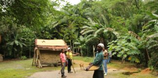 Aplicativo mapeia 5,3 mil comunidades em territórios tradicionais