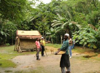 Aplicativo mapeia 5,3 mil comunidades em territórios tradicionais