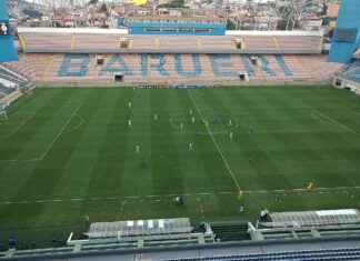 Estreia do Palmeiras na Copa do Brasil será na Arena Barueri neste sábado, dia 30