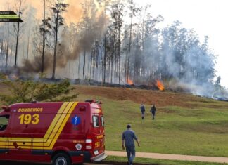 Sete pessoas morrem após queda de avião e explosão no interior de SP