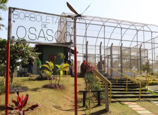 Borboletário de Osasco retoma atividades e abre as portas ao público