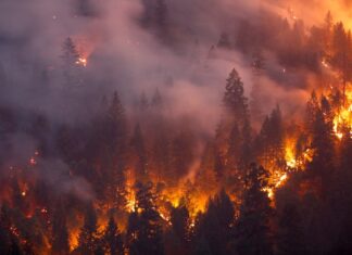 Brasil se solidariza com países europeus que passam por calor extremo