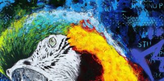 Barueri realiza ciclo de palestras para auxiliar na profissionalização de artistas visuais