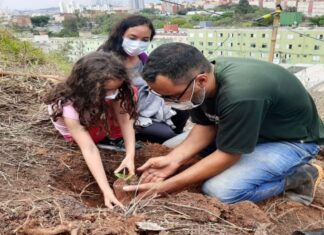 Prefeitura de Carapicuíba realiza plantio em homenagem ao Dia do Cerrado