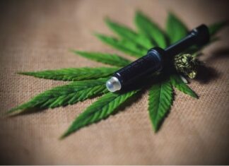 CFM abrirá consulta pública sobre uso da cannabis medicinal