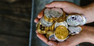 PF e Receita fazem nova ação contra fraudes com criptomoedas