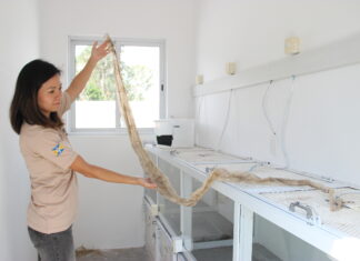 Projeto Silvestre Saudável alia educação com bem-estar animal em Barueri