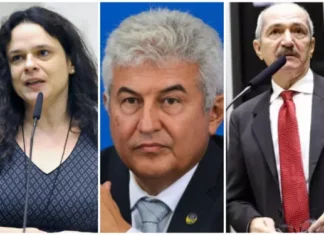 Confira os candidatos ao Senado por São Paulo