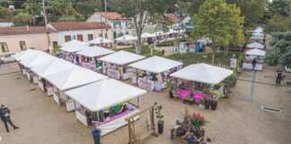 Santana de Parnaíba anuncia pré-inscrições para Feira da Primavera da Mulher Empreendedora