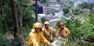 Defesa Civil de Santana de Parnaíba realiza podas preventivas para garantia da segurança nos bairros da cidade