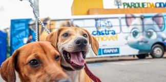 Itapevi atinge marca de mais de 25 mil castrações gratuitas de cães e gatos