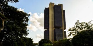 Emissões de títulos sustentáveis batem recorde no Brasil