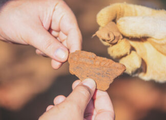 Artefato histórico é encontrado em Santana de Parnaíba