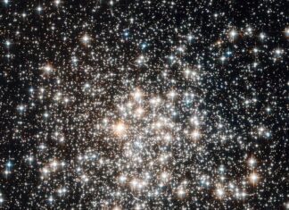 Universo: entenda como as constelações são batizadas
