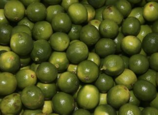 Ministério lança Rota da Fruticultura no Distrito Federal