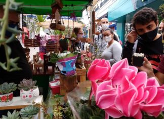 Fim de ano: feira livre e feira de artes de artes terão programação especial