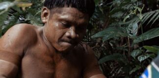 Festival Visões Periféricas começa dia 2 de março de forma híbrida