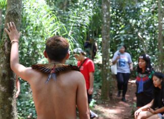 Festival celebra cultura indígena em aldeia guarani no Jaraguá, em SP