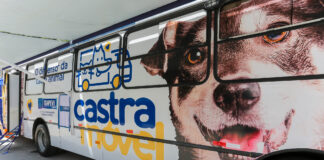 Prefeitura de Itapevi abre novas inscrições para 5ª Campanha de Castração gratuita de Cães e Gatos