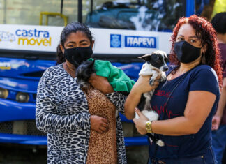 Itapevi realiza 10 mil castrações de cães e gatos desde a inauguração do Castramóvel