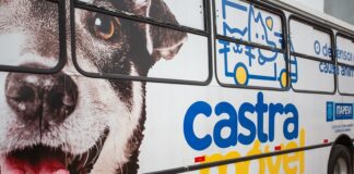 Prefeitura de Itapevi realiza 7ª Campanha de Castração de Cães e Gatos